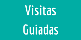 Visitas Guiadas